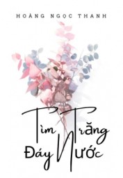 Tìm Trăng Đáy Nước